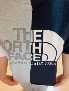 THE NORTH FACE PURPLE LABEL Tシャツ WS