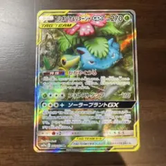 フシギバナ&ツタージャGX