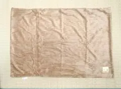 Item thumbnail for item 565c604c-1a61-4335-9efc-2010a275bf98