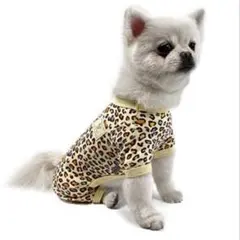 Item thumbnail for item 11172966-e7d1-4202-8cbd-343b973102b8