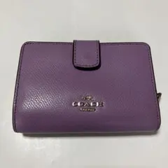 Item thumbnail for item bc50b1e8-4f26-4988-a4f5-7960878a5dba