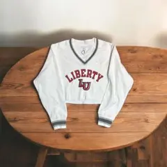 希少90s Championリバースウィーブ USA企画 Vネック カットオフ