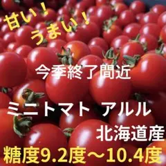 2025年最新】規格外トマトの人気アイテム - メルカリ