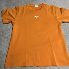 Item thumbnail for item 0c6b01b5-4fde-44af-98d0-9e276f871657