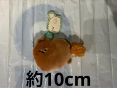 Pino様 リクエスト 2点 まとめ商品