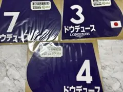 ドウデュース 2024 ジャパンカップ 出走馬ミニゼッケン - メルカリ