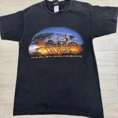 8T8403 HARLEY-DAVIDSON Tシャツ USA製 Hanes - メルカリ