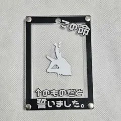 シェルミィ チェキ セット 255枚 メルカリ