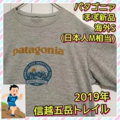 ほぼ新品　パタゴニア　キャプリーン　クール　デイリー　信越五岳　Ｔシャツ　Ｍ相当