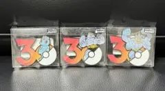ポケモン 30周年記念 マグネット セット イシヘンジン テッカグヤ