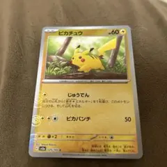 ピカチュウ　モンスターボールミラー　025