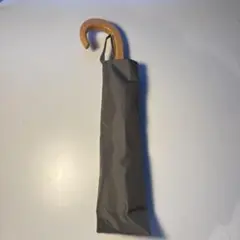 Item thumbnail for item 500df174-f2ac-4283-b9b1-b31772eff268