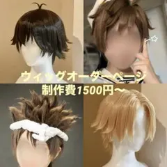 2025年最新】ウィッグオーダーの人気アイテム - メルカリ