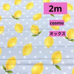 cosmo★オックスレモン＆ドット★リードグレー★ラスト3枚