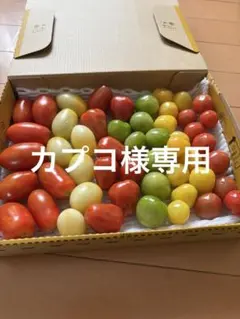 カプコ様専用です