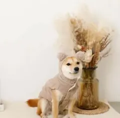 【monchéri 】ケーブル編みくま耳ポンポン付きニット帽 モンシェリ