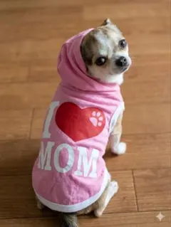 Item thumbnail for item 393e1446-7747-4545-8097-2460b9940fc2