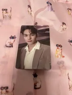 SEVENTEEN INCOMPLETバーノントレカ