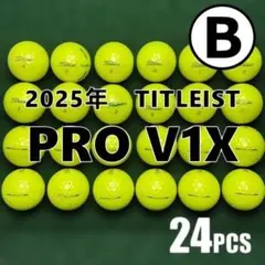 【B72】Titleist PROV1X 2025年 黄 ロストボール24球のサムネイル