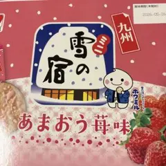 2026年最新】雪の宿クッションの人気アイテム - メルカリ