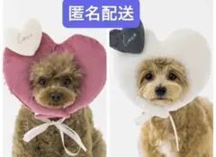 Item thumbnail for item 035f33cb-d492-4212-87cd-5d9264bf5732