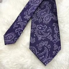 【極美品】ペイズリー柄 アクアスキュータム ネクタイ シルク ジャガード織