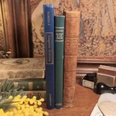 インテリアにどうかな？洋書3冊　フランスアンティーク洋書　革洋書　洋書セット
