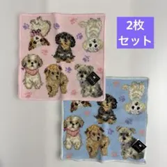 2枚セット アーンジョー ENJEAU シェニール織 犬 タオル ハンカチのサムネイル