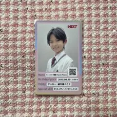 フェニックス晴渡 プチエビ トレカ EBiDAN NEXT CZ'24