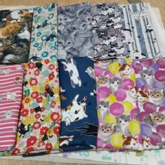 猫生地　縦50cm横25cm 10枚 柄変更不可