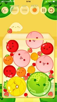 SAGA FOX フォックスファーショール ブラウン