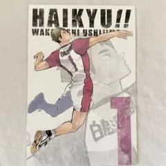 ハイキュー!! ゲンガ×タイカン ポストカード 宮治 30枚 ハイキュー!! ゲンガ×タイカン ポストカード 宮治 30枚 ハイキュー
