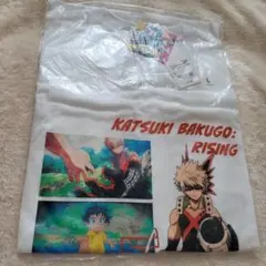 Item thumbnail for item ecdb9907-dfa6-46de-9b2f-11e7fd4966ac