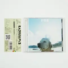 2026年最新】RADWIMPS3~無人島に持っていき忘れた一枚~ CD RADWIMPSの