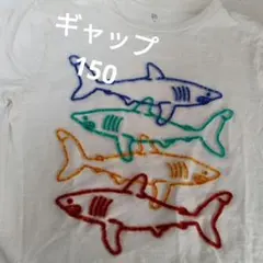 GAP KIDS XL サメ刺繍 Tシャツ 150