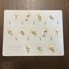 Item thumbnail for item 23fab283-8697-42f1-bcab-5155c810bc46