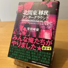 北関東「移民」アンダーグラウンド ベトナム人不法滞在者たちの青春と犯罪