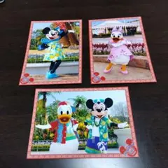 ●ディズニーリゾート　スペシャルフォト/スペフォ　2007年　3枚 ミッキー②●