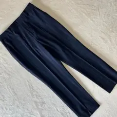 UNIQLO ユニクロ　スマートアンクルパンツ　ストレッチ　ネイビー　L