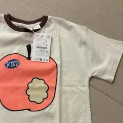 ZARA Tシャツ