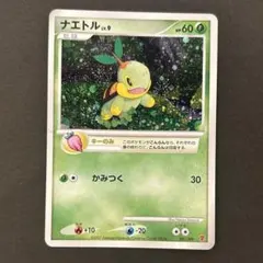 2025年最新】ナエトル 001/PPPの人気アイテム - メルカリ