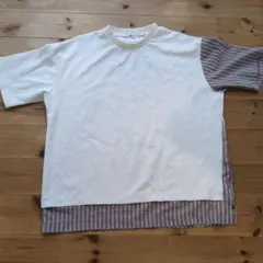 ホワイト/ストライプ 半袖Tシャツのサムネイル