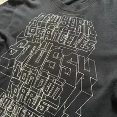 超レア old stussy 立体ワールドツアー M