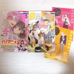 多聞くん今どっち！？の5巻 特典付 - メルカリ