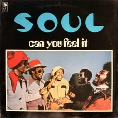 レア‼️S.O.U.L. Can You Feel It RARE GROOVE