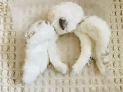 Item thumbnail for item ebabfe18-8581-48b4-8e05-bee861aea09b