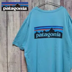 patagonia パタゴニア ロゴTシャツ バックプリント レアカラー