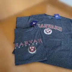 Champion HARVARD UNIVERSITY シャツ グレー