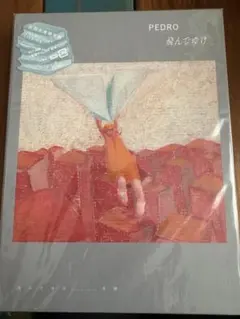 PEDRO 飛んでゆけ 初回生産限定盤　サイン入り Amazon.co.jp: 飛んでゆけ (初回限定盤) - PEDRO (Blu-ray付
