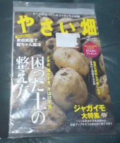 やさい畑 ジャガイモ特集　2025年2月号